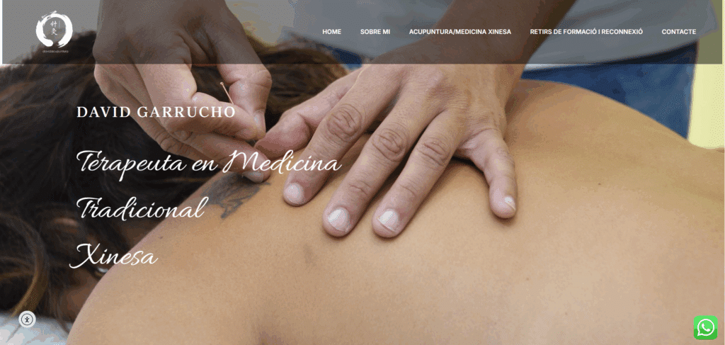 acupuntura david garrucho